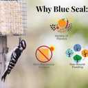 Blue Seal Nut Feast Suet Cakes for Wild Birds | No Mess Suet Feed with Variety of Nuts | Food for Woodpeckers, Cardinals, Siskins & Sparrows | Use with Suet Feeder | 11oz Seed Cake (6 Variety Pack) (EXP 06/06/27)