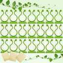 150Pcs Plant Clips for Climbing Plants Wall Clips with Stickers- Plant Wall Clips Pothos Plant Climber Support Plant Clips Plant Hooks for Vine Clips Money Plant Clips for Wall Plant Support 2 Pack