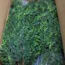 Artificial Topiary Tree 2-Set - Beautiful Realistic Faux Cedar Pines, 3 Feet Tall, UV Protection for Longer Life, Durable 6" Wide Heavy Duty Pots for Outdoor & Indoor Decor (2, 37 Inch)