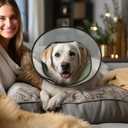 Soft Dog Cone Collar for Large Medium Dogs After Surgery, Adjustable Recovery Lightweight Elizabethan Collar for Dogs to Stop Licking (L)