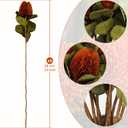 6Pcs 23inch Artificial Flowers Fake Fall Banksia Flower Orange Long Stem Autumn Faux Banksia Flowers Floral Arrangements for Home Bedroom Table Wedding Party Boho Decor