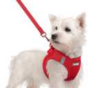 rabbitgoo Dog Harness Small Sized and Leash Set, Step in Soft Light Puppy Vest, Breathable Mesh Pet Harness, Reflective for Safe Easy Walking, Red S