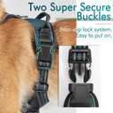 rabbitgoo Dog Harness No Pull with 2 Leash Clips, Adjustable Soft Padded, Reflective Oxford No Choke Pet Vest with Easy Control Handle for Small Dogs, Blue Coral, S