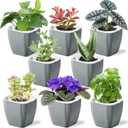 8 Pack 4-inch Plant Pots Indoor Garden Decorative Flower pots Small Self-Watering Planters for Small Plants WindowSill Planters for Succulents, African Violets, Herbs(Sliver Black)