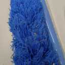 20 Feet High Reach Duster Kit with 5-12 Ft Extension Pole, Cobweb Duster with Telescoping Pole, Window Squeegee with Scrubber, Spider Web Brush, High Ceiling Fan Duster for High Window, Interior Roof