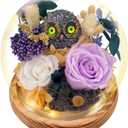 Flowers, Roses Gift - Preserved Flowers & Preserved Roses Gift for Women, Rose Arrangement that Lasts Forever Birthday Gift for Women,Mothers Day &Valentine, Flower for Delivery- Lavender