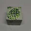 Soap & Paper Factory Roland Pine 9.5 oz Large Soy Candle