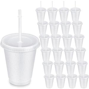 Roshtia 24 Pack Plastic Tumblers with Lid and Straw Reusable Cups Bulk Water Bottles Iced Coffee Travel Mug Cup for Birthdays Party Juices Adults Kids (White,16 oz), 4 Count