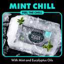 DUDE Wipes Mint Chill Flushable Wipes - Extra-Large Adult Wet Wipes - 3 Pack (144 Count) - Infused with Tea Tree Oil, Vitamin E, and Aloe - Septic and Sewer Safe