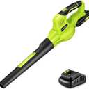 SnapFresh Cordless Leaf Blower - 20V Electric Leaf Blower with 2.0 Ah Battery and Charger - Lightweight 2-Speed Leaf Blower for Lawn Care and Yard/Garden/Patio Cleaning
