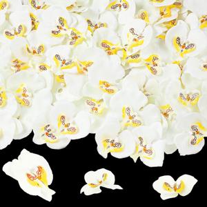 Janinka 80 Pcs Orchids Artificial Flowers Silk Phalaenopsis Flower Heads Fake Orchids Flowers for Cocktails Drink False Butterfly Orchid Head for Wedding Floral Bouquet DIY Craft Bridal Decor(White)