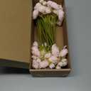 Ling's moment Ranunculus Artificial Flower, Faux Silk Mini Ranunculus Flowers for DIY Bouquet, Bulk Fake Wedding Filler Flowers for Centerpieces Arrangements Bridal Shower Decorations, Blush Pink