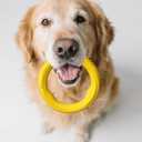 Indestructible Dog Ring Toy, Rubber Soft Dog Chew Toys, Small Medium Large Dogs Frisbee for Aggressive Chewers,Suitable for Tossing, Pulling Training-6.69in Flying Disc (1 Ring)