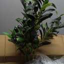VEVOR Artificial Olive Tree, 5 FT Tall Faux Plant, Secure PE Material & Anti-Tip Tilt Protection Low-Maintenance Plant, Lifelike Green Fake Potted Tree for Home Office Christmas Decor Indoor Outdoor