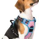 rabbitgoo Dog Harness No Pull with 2 Leash Clips, Adjustable Soft Padded, Reflective Oxford No Choke Pet Vest with Easy Control Handle for Medium Sized Dogs, Pink & Blue, Size M