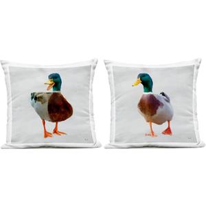 Stupell Industries | Pair of Squawking Ducks, 18 x 18 Each, 2 Pillows, Each 18 x 7 x 18