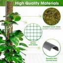 DUSPRO 59 D-Shape Moss Pole for Climbing Plants Monstera Moss Plant Pole Handmade Moss Stick for Indoor Plants Grow Upward (59'', 1pc.)