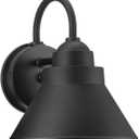Progress Lighting Bayside Outdoor Wall Light, Black, Medium