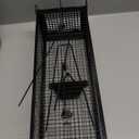 Humane Rat Trap, Large Squirrel Traps That Work for Indoor and Outdoor, Small Rodent Chipmunk Trap and Other Live Animal Cage