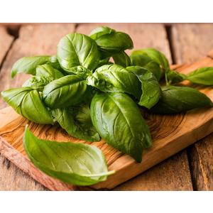 8 x Seeds Genovese Basil Indoor Herb Non GMO Heirloom for Planting