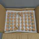 Bekith 48pcs 45ml Glass Test Tubes 25x140mm with Cork Stoppers, as Bath Salt Containers, for Scientific Experiments, Party Decorations, Candy Storage