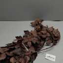 Avoeco
Artificial Branches for Vase, 5Pcs Faux Stems Greenery Plant Stems for Vase, Cimicifuga Plant Leaf Spray,Plum Ramosa Fall Branches for Home Shop Office Decor (Plum Cim, M)