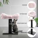 Modern Scratching Post for Indoor Cats - 15 High Cat Scratching Post with Bed Breeds - 15.7 x 11.6 Removable & Washable Cushion (Black Post with Pink Bed)