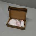 Fida Retractable Dog Leash with Dispenser and Poop Bags, 10 ft Pet Walking Leash for X-Small Dog or Cat up to 18 lbs, Anti-Slip Handle, Tangle Free, Reflective Nylon Tape (XS, White)