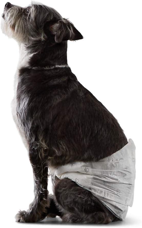 Amazon Basics Absorbent, Leakproof Male Dog Wrap Disposable Diapers, Small, Pack of 50, White (Small (Pack of 50))