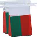 AZ FLAG Madagascar 6 meters BUNTING Flag 20 flags 9'' x 6'' - Madagascan STRING flags 15 x 21 cm