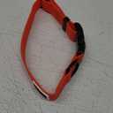 Dogline Biothane Waterproof Dog Collar Strong Coated Nylon Webbing with Black Hardware Odor- Proof for Easy Care Easy to Clean High Performance Fits Small Medium or Large Dogs, Hunter Orange (W3/4" x L15-18")