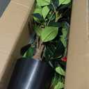 Artificial Camellia Tree 2 Pack, 3FT Faux Camellia Plant in Pot, 36 inch Fake Potted Camellia Flower Tree Plastic Camellia Tree for Modern Home Office Christmas Living Room Floor Decor Indoor, Red