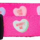 Native Pup Valentines Dog Collar- Valentines Day Pet Collars- Valentine Girly Hearts- Pink Red Heart- Cute Boy Girl Puppy Gift- Adjustable for Small, Medium, Large Breeds (Candy Hearts, Large)