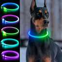 Light Up Dog Collars, USB Rechargeable Dlitk LED Dog Collar 1 Count, TPU Cuttable Size Glow Collar for Dogs, Dog Collar Light, Please Do Not Use Fast Charging (Green+Blue)