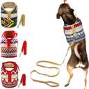 Dog Harness & Leash Set for Small Breeds (Large, Goa) (L 6-12 lb, Chest 13-16)