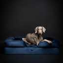 NOAH & PAW XL Dog Bed, 45x35x11 Inch, Orthopedic Large Dog Beds, Eggshell Memory Foam Infused with Cooling Gel, Inner Cover, Water Resistant, Machine Washable (Velvet Sofa Collection)