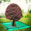 Landscape Pruning Tarp, 78.7X78.7 Landscape Tarp for Trimming with 12 inch Hole, Pruning Trees Waterproof Tarp, with Corner Buckles, can Stand Up Fasten Around Trees and Shrubs