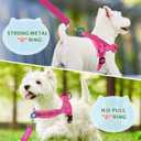 SlowTon No Pull Small Dog Harness and Leash Set, Puppy Soft Vest Harness Neck & Chest Adjustable, Reflective Lightweight Harness & Anti-Twist Pet Lead Combo for Small Medium Dogs (Fuchsia, XXS)