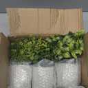 Der Rose 3 Pack Mini Potted Fake Plants Artificial Plastic Eucalyptus Plants Topiaries for Home Office Desk Farmhouse Shelf Room Bathroom Decor(Green)