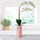 Dolly Parton White Artificial Orchid in Pink Ceramic Pot, 9.8x5.5x24 Inch
