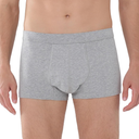 Incontinence Protective Underwear for Men Washable Bladder Leak Proof Boxer Briefs with 60ml Absorbency 1 Pack (Gray, M)