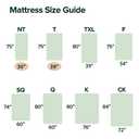 ZINUS 6 Inch Queen Green Tea Memory Foam Mattress [New Version], Fiberglass free, Medium Firm Feel, Zoned Pressure Relief, Certified Safe Foams & Fabric, Mattress in A Box (White)