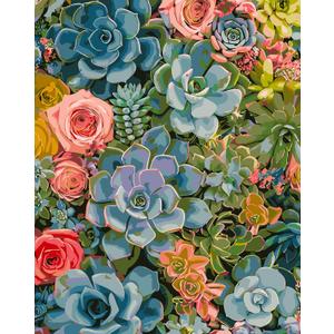 2 x DOTSTART Paint by Numbers Kit for Adults,Colorful Succulents Plants Paint by Number for Adults,Acrylic Adults' Paint-by-Number Kits, Easy Paint by Number Adult Canvas for Home Art Decor, 16X20 inch