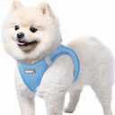 rabbitgoo Small Dog Harness, Step-in Soft Mesh Puppy Vest with Safety Buckle, Breathable Reflective Pet Harness for Small Sized Dogs, Blue S (S(Chest:15.1"-16.5"))
