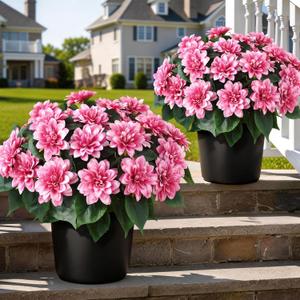 2 Set of Artificial Dahlia Topiary Ball Trees - Fake Silk Dahlia Flower Bushes, UV Resistant Faux Floral Shrub Potted for Front Door Porch Farmhouse Wedding Outdoor Decor (Pink)