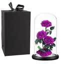 Purple Roses Handmade Rose in Glass Dome, Preserved Flowers Never Withered, Birthday Gifts for Women (13 inch)