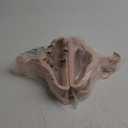 SONGMICS Baby Kids Hangers 50 Pack for Closet, 11.8 x 8.1 Inches, Silver 360 Swivel Hooks, Space-Saving Clothes Velvet Hangers for Nursery, Non-Slip, Pink