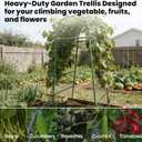 Garden Arch Trellis for Climbing Plants Outdoor, 7 Ft Tall Cucumber Trellis for Raised Bed, Metal Archway Arbor Trellis Support for Vegetables Beans Squash Peas Grape Vines Flowers