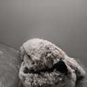 INVENHO Orthopedic Dog Beds Large Sized, XL Washable Dog Sofa with Egg-Crate Foam, Waterproof Lining and Non-Skid Bottom (XL (42"x 32"x 6.5"), Brown)