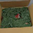 6ft Christmas Garland with Lights, Thick Norfolk Pine Garland, Realistic Green Garlands for Mantle, Stair Railing, Battery Operated Indoor/Outdoor New Year Holiday Decoration with Timer